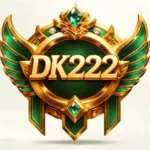 DK 222 Game icon