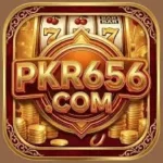 PKR 656 icon